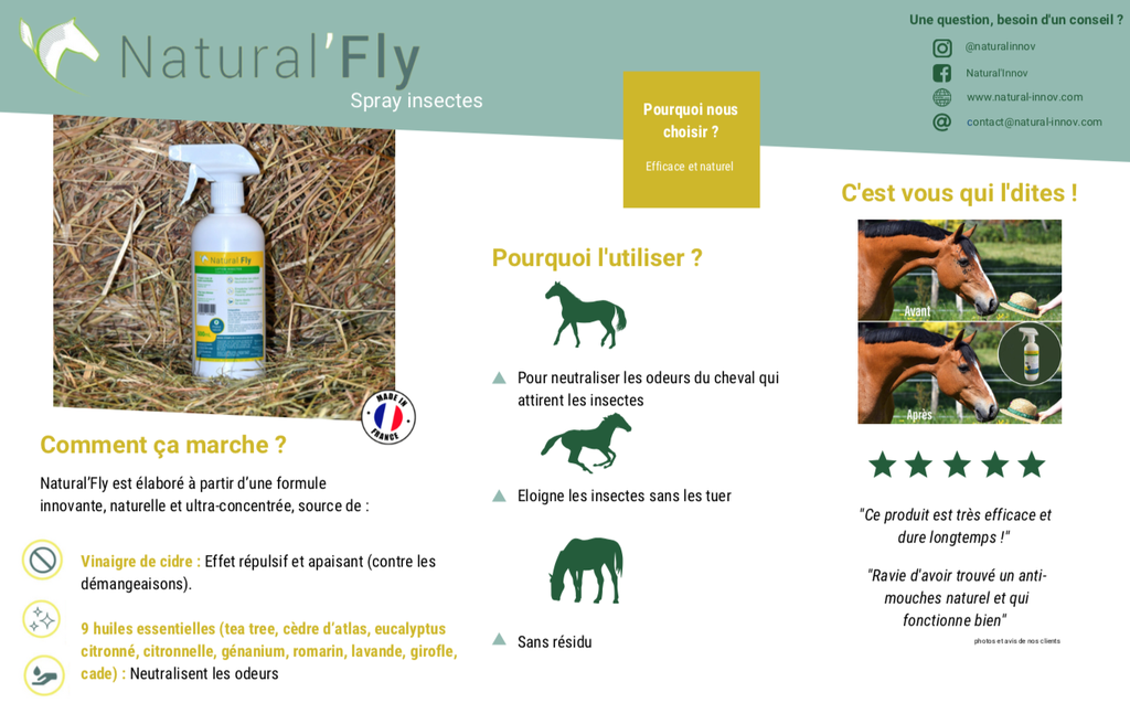 Natural Fly Insectes