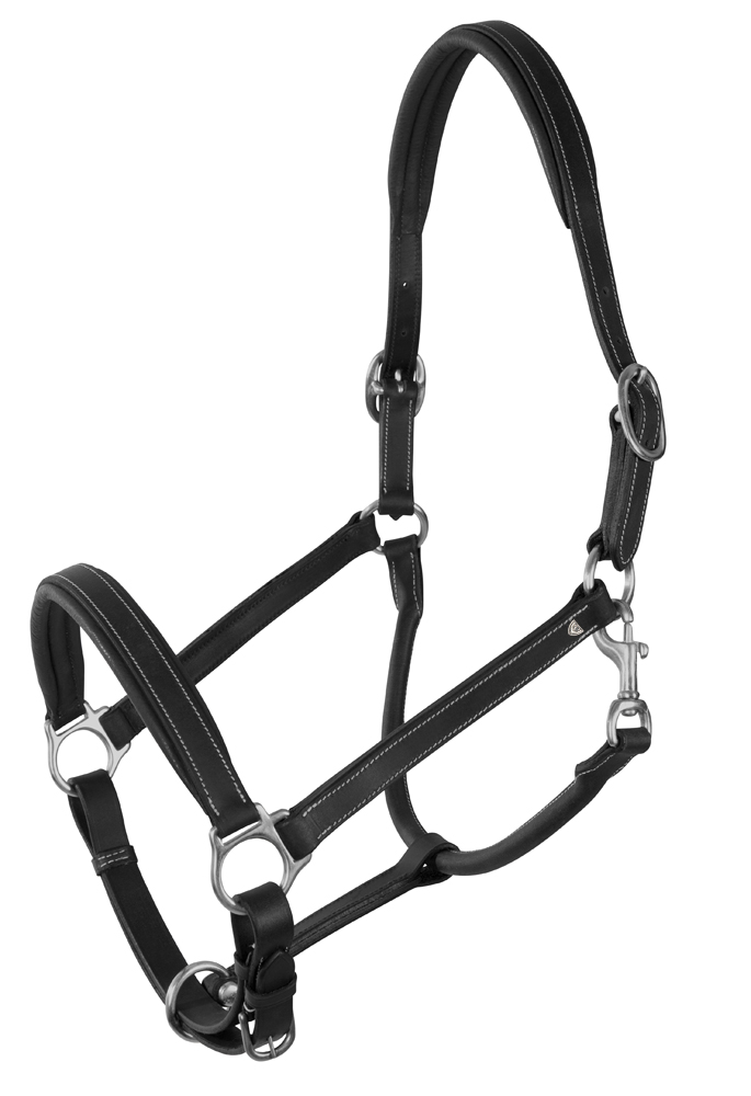 Licol Cuir Platin Pool