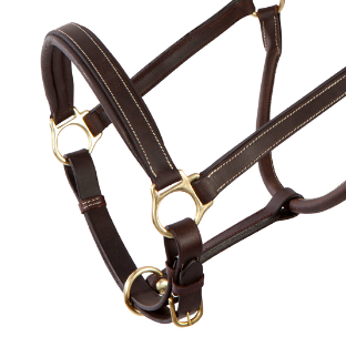 Licol Cuir Platin Pool