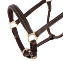 Licol Cuir Platin Pool