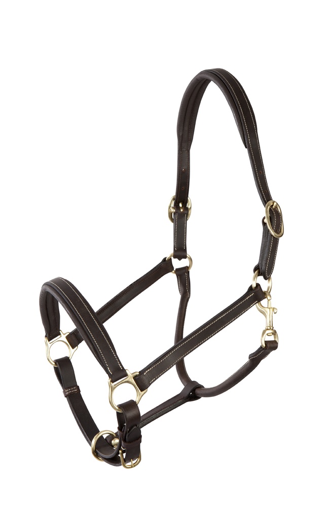 Licol Cuir Platin Pool