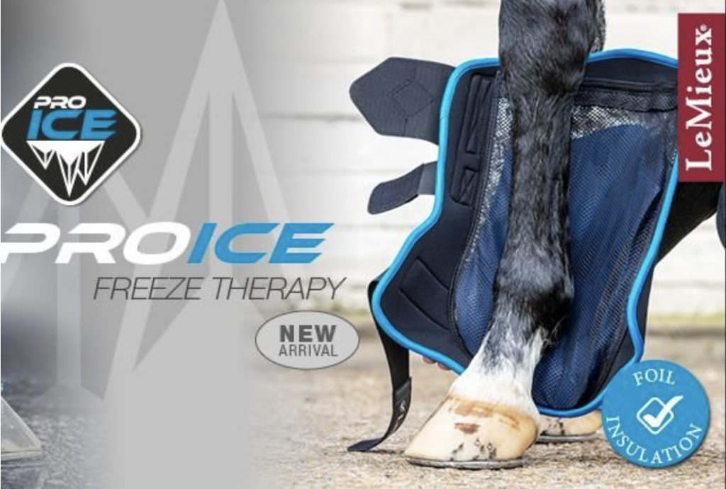 Guetres ProIce Freeze LeMieux