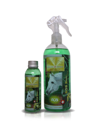 [BE-JJ-002] Shampoing sec SOS Spot spray