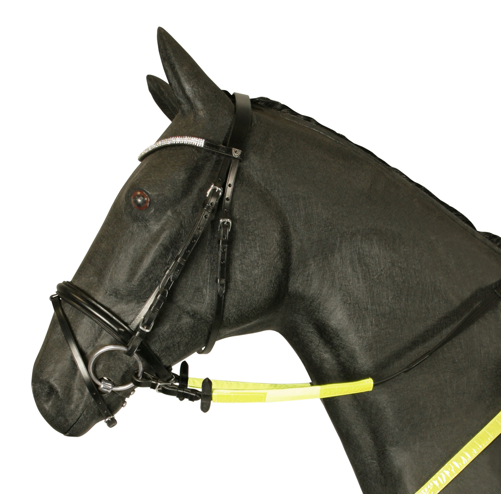 Reflectors for reins