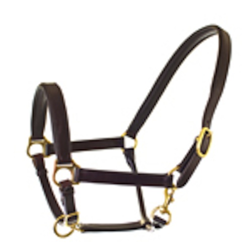 Birkdale leather headcollar