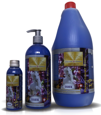 [BE-JJ-007-500] Shampoing Perfectionniste (500 ml)