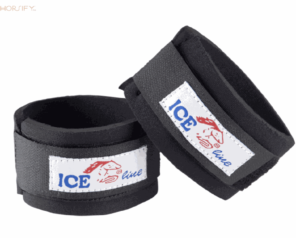 Pastern wrap Ice Line