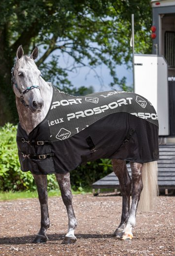 Carbon Cooler Rug by LeMieux