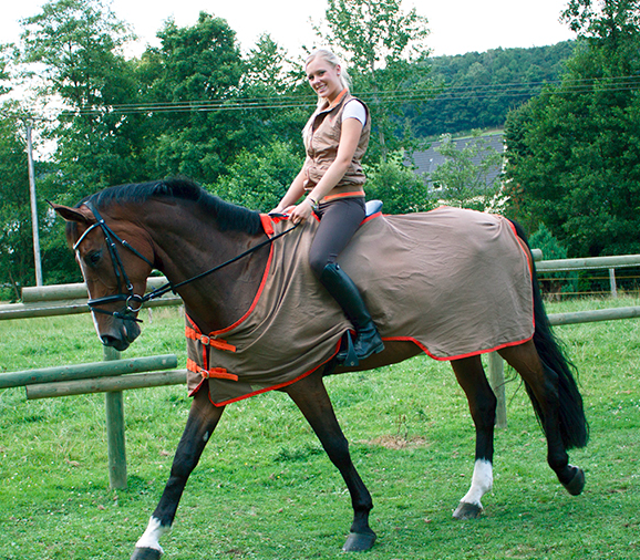 Couvre-reins anti-mouches