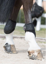 Derby ProJump fetlock Boots by LeMieux