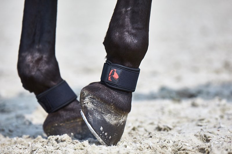 FIR-Tech Pastern wrap