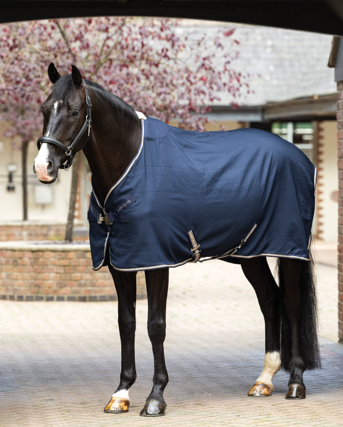 Kudos Stable Sheet LeMieux