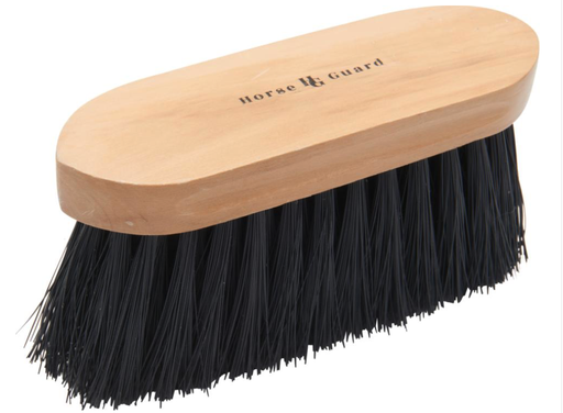 [CH-GL-004] Brosse à crins dure