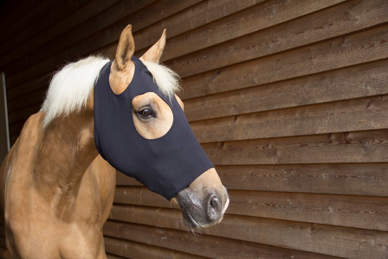 Tampon Tendon Catago FIR-Tech Pro Noir, Protection Cheval