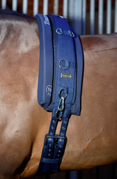 [CH-TH-006] Lunging belt by Trans Horse Sport