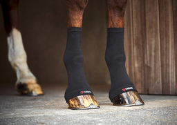 [CH-CA-022] FIR-Tech Chaussettes Cheval